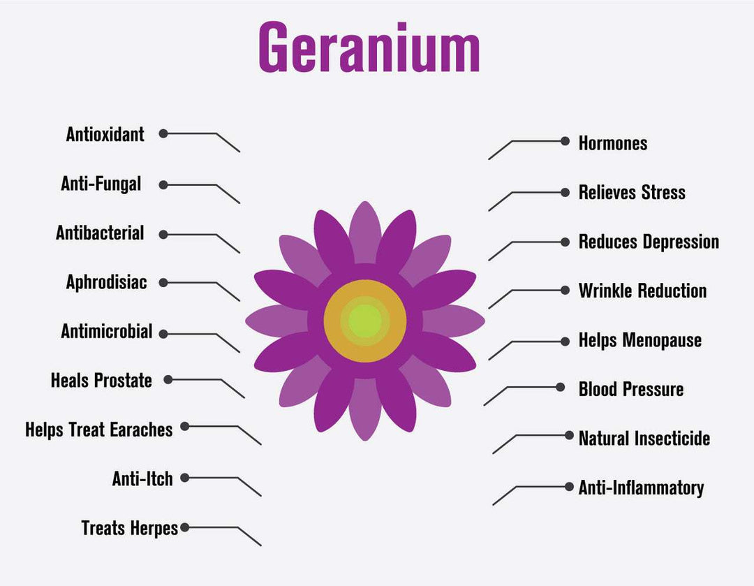 geranium essential oil - 4 oz