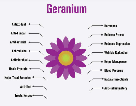 geranium essential oil - 4 oz