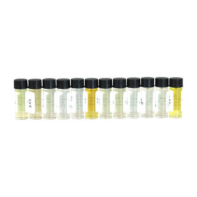 Set Of 12 New Edition Fragrance Oils - CUSTOMER FAVORITES Dram (1/8oz)